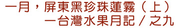 一月,屏東黑珍珠蓮霧(上)