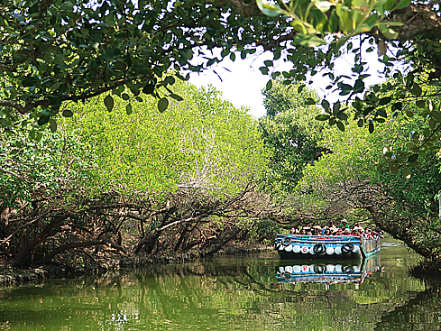 2018.03.13 台南 四草綠色隧道