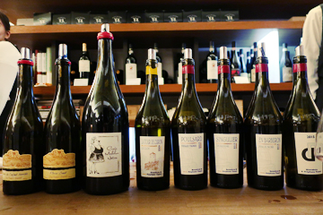 2017.03.25 葡萄酒的秘境:侏羅酒展Vins du Jura