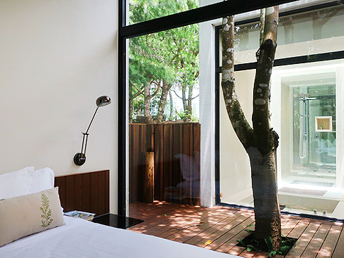 2020.06.19~21 苗栗獅潭 Around theTree 八角居所：Villa A