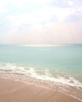 【冬日,墾丁】06.12.17   依依