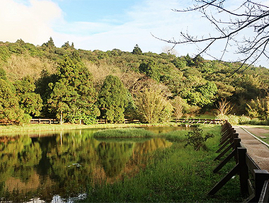 2023.12.26 陽明山冷擎步道
