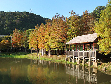 2024.01.02 ＆ 2023.12.26 原住民文化主題公園＆陽明山水杉園