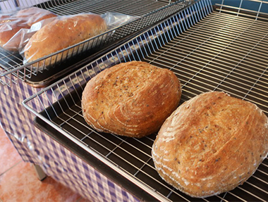 2023.07.04  台東長濱 慕樂香草與麵包 （小藍點）