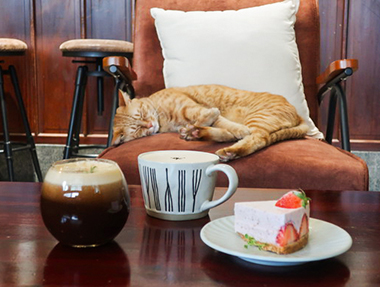 2025.03.15 台中 如常。所在