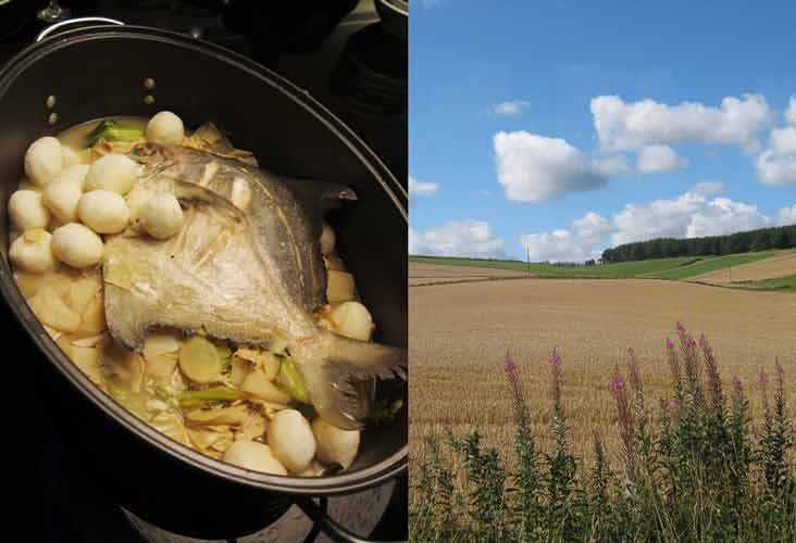 那些，從來不曾消逝的滋味 — 近期幾本書之推薦語