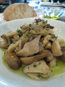 2008.08.31 台中 K2小蝸牛義大利麵