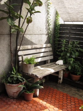 2012.02.04 屋頂上的貓私廚（早午餐）