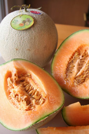 五月,七股洋香瓜 (上) — 台灣水果月記/之一