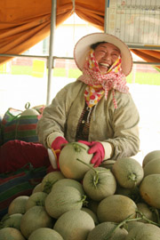 五月,七股洋香瓜 (下) — 台灣水果月記/之一
