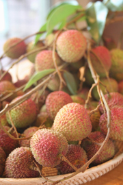 六月,玉荷包荔枝 (上) — 台灣水果月記/之二