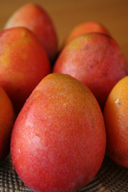 七月,愛文芒果 — 台灣水果 月記/之三