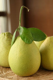 九月,麻豆老欉文旦 (上) — 台灣水果月記/之五