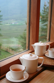 懷念，肉桂蘋果茶