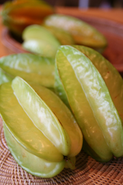 十月,白布帆楊桃(上)— 台灣水果月記/之六