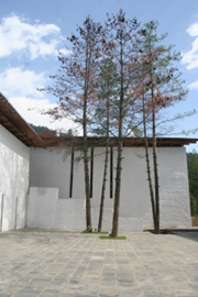 不丹，Amankora之旅（上）