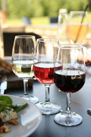 期待,台灣釀的酒