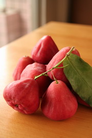 一月,屏東黑珍珠蓮霧(上)— 台灣水果月記/之九