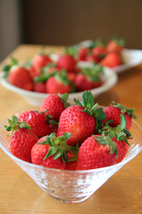 三月,大湖豐香草莓(上)— 台灣水果月記/之十一