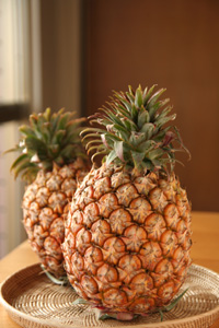 四月,關廟金鑽鳳梨(上)— 台灣水果月記/之十二