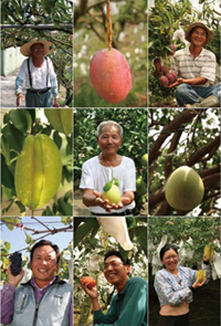 就是要吃,台灣水果(下) — Yilan新書《果然好吃》序