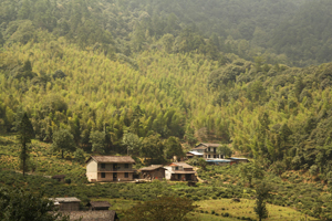 紅茶原鄉．武夷山之旅（上）