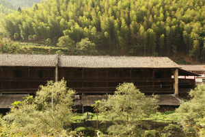 紅茶原鄉．武夷山之旅（下）
