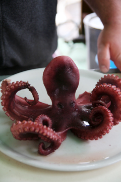 ｛旅食隨記｝西西里市場的章魚大餐