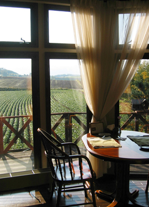 ｛旅人之窗｝往日回憶•美瑛　