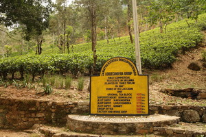 相遇，錫蘭紅茶誕生地