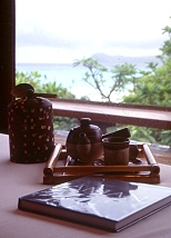 旅途中的書 (2003.03.04)