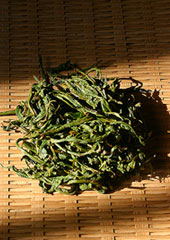 紅茶•台灣(上)