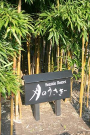 沈醉，月之兔溫泉旅館 (上)