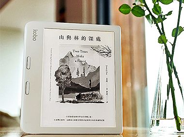 凝視，台灣風景 — 近來幾本書之讀後記＆推薦語